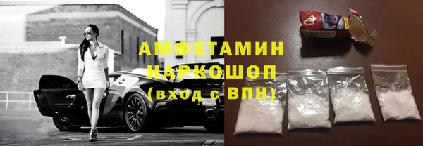 гашик Алексин