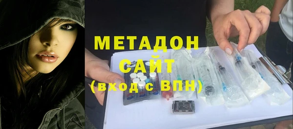 гашик Алексин