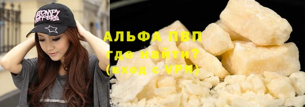 гашик Алексин