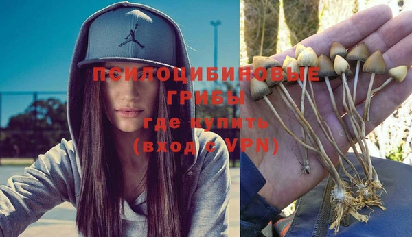 метадон Алзамай
