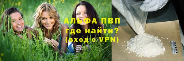 гашик Алексин