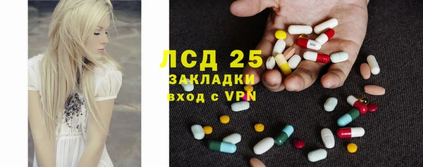 гашик Алексин