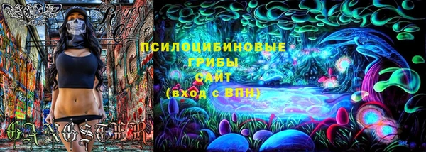 гашик Алексин