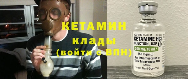 гашик Алексин