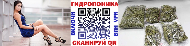 купить наркотики сайты  Шумиха  Бошки Шишки LSD WEED 